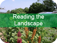 Reading the Landscape