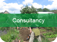 Consultancy